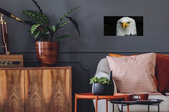 Stickers muraux - Film autocollant - Aigle - Zwart - Wit - 40x20 cm - Film adhésif - Stickers muraux Chambre d'enfant - Papier peint autocollant - Papier peint autocollant - Film autocollant