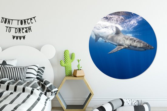 WallCircle - Cercle Mural - Cercle Mural - Requin - Mer - Water - Aluminium - Dibond - 140x140 cm - Intérieur et Extérieur