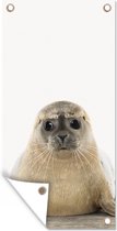 Affiche de jardin Phoque - Animaux - Enfant - Garçons - Filles - Enfants - 30x60 cm - Toile jardin - Affiche extérieure