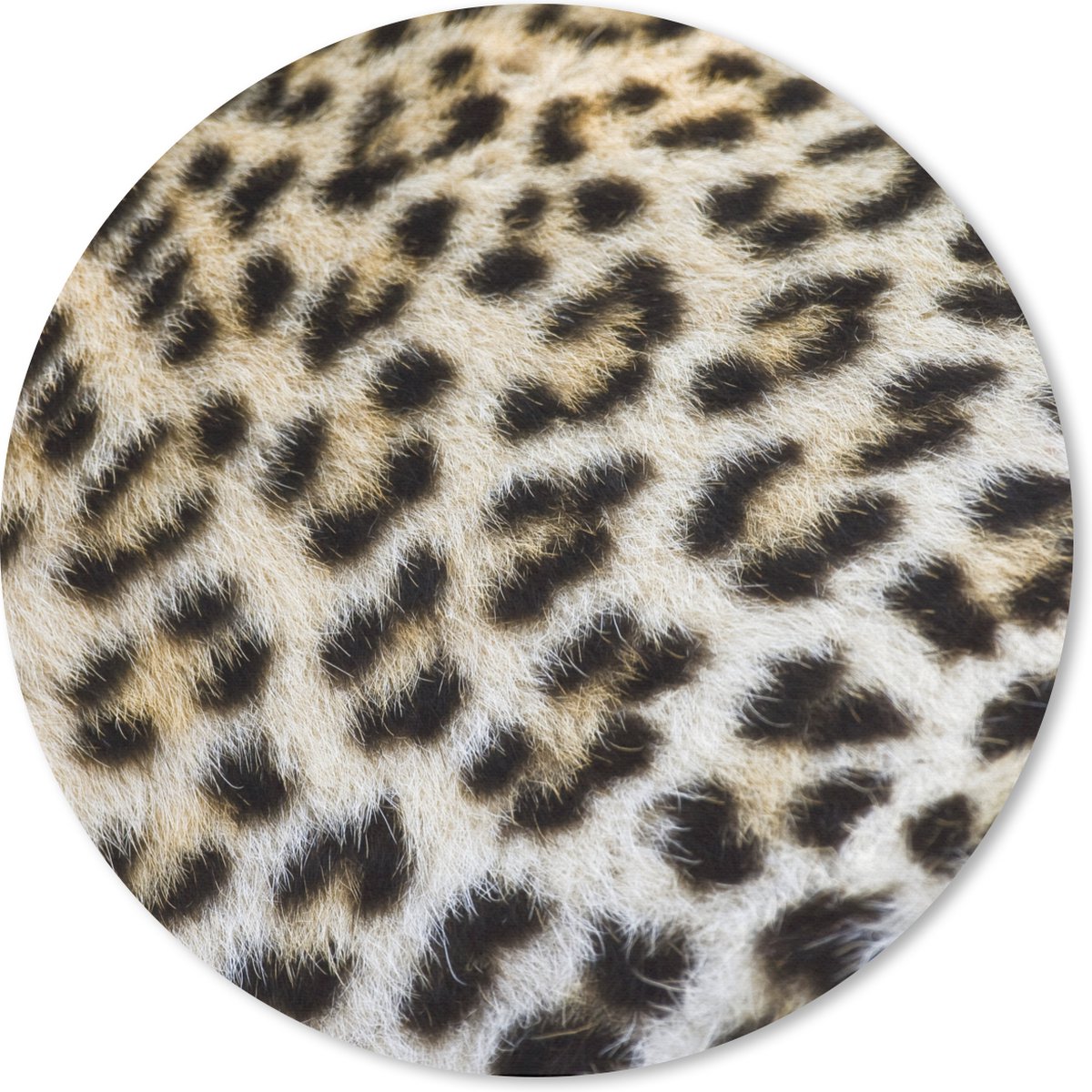 Muismat rond 20x20 cm - Mousepad Close-up vacht luipaard - Ronde muismatten