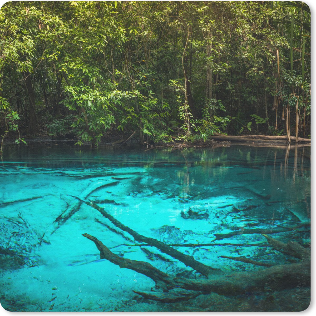 Muismat 30x30 cm - Mousepad Helderblauw meer in de jungle - Muismatten