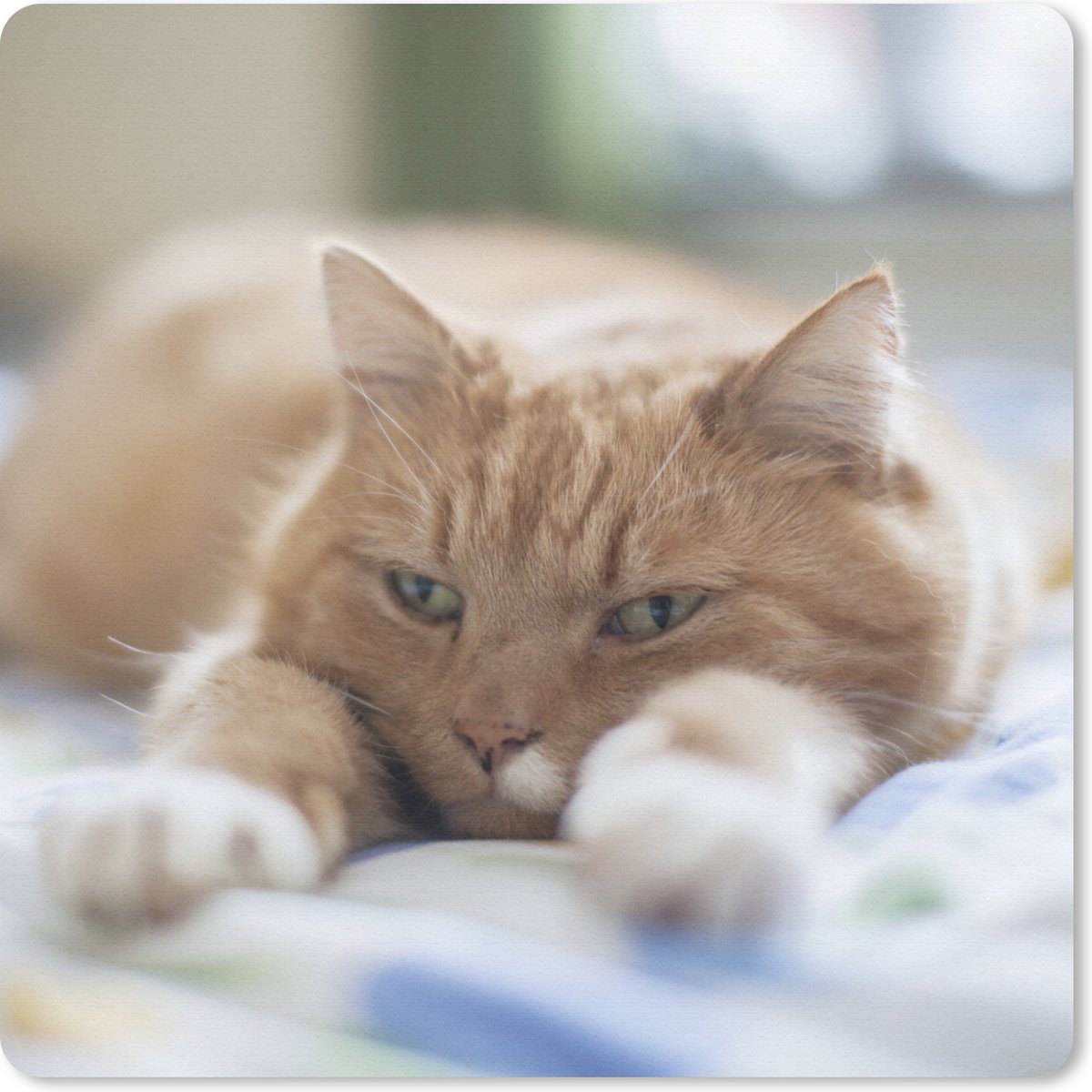 Muismat 30x30 cm - Mousepad Kat - Bed - Bedsprei - Meisjes - Kinderen - Jongens - Kind - Muismatten