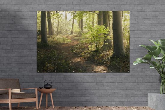 Décoration murale Forêt - Arbre - Chemin - 180x120 cm - Affiche jardin