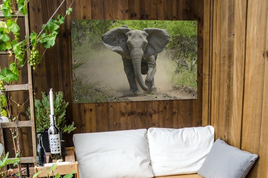 Affiche Running Elephant Garden 120x80 cm - Toile de jardin / Toile d'extérieur / Peintures d'extérieur (décoration de jardin)