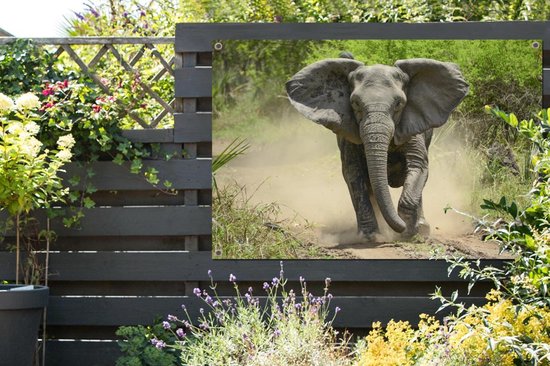 Affiche Running Elephant Garden 120x80 cm - Toile de jardin / Toile d'extérieur / Peintures d'extérieur (décoration de jardin)
