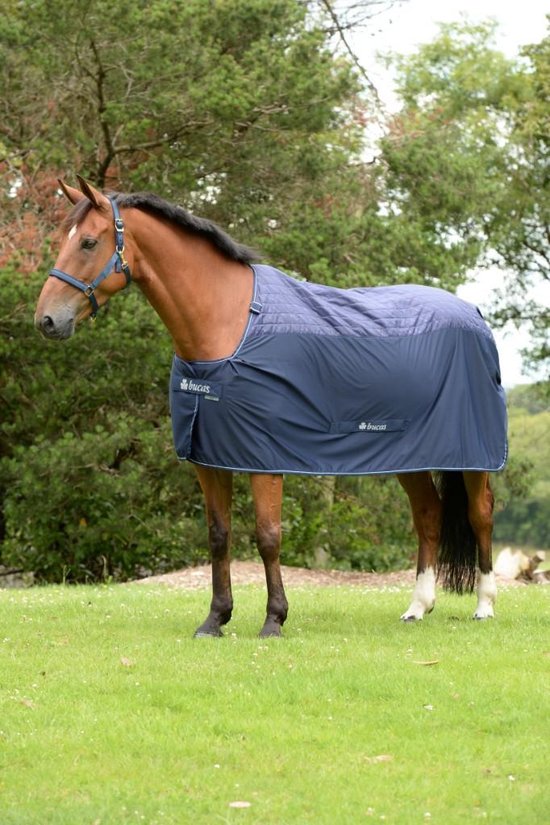 Bucas Recuptex Therapy Rug