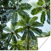 Poster Bomen en bladeren in jungle - 100x100 cm XXL
