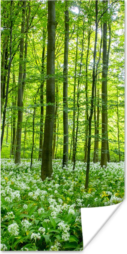 Affiche Forêt - Arbres - Vert - 80x160 cm