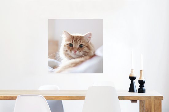 Poster Chat - Rouge - Lit - 50x50 cm