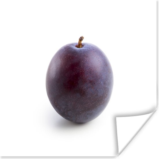 potret van een pruim poster papier 50×50 cm – Foto print op Poster (wanddecoratie woonkamer / slaapkamer)