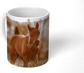 Mok - Koffiemok - Paard - Zon - Gras - Mokken - 350 ML - Beker - Koffiemokken - Theemok