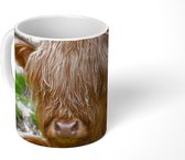Mok - Schotse Hooglander - Hooi - Gras - 350 ML - Beker