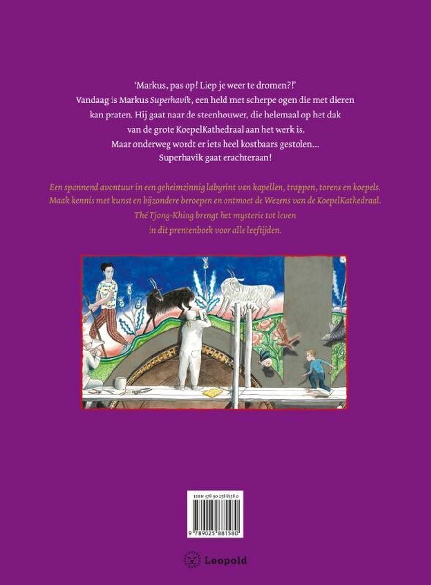 Cover van het boek 'Het mysterie van het steenhouwertje' met de tekst 'Markus, pas op! Liep je weer te dromen?!' en een illustratie van een kathedraal met dieren en mensen.