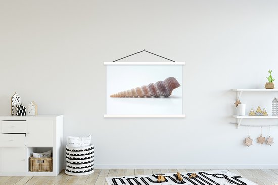Affiche scolaire - Coquille - Longue - Pointe - 150x100 cm - Affiche textile Lattes Witte - Affiche textile