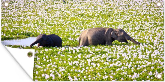 Tuinposter Moeder en baby olifant in een bloemenveld - 80x40 cm - Wanddecoratie Buiten - Tuinposter - Tuindoek - Schuttingposter - Tuinschilderij