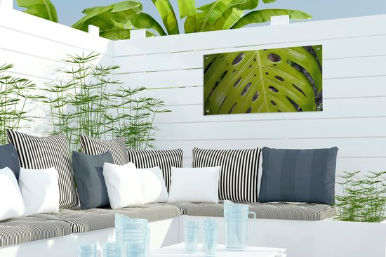 Affiche de jardin Groot feuille botanique de la plante du trou - 60x30 cm - Toile de jardin - Affiche d'extérieur