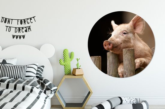 WallCircle - Wall Circle - Wall Circle Indoor - Cochon - Animal - Clôture - 120x120 cm - Décoration murale - Peintures Ronds XXL