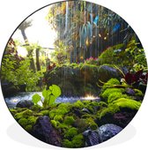 Cercle mural - Cercle mural - Cascade tropicale - Aluminium - ⌀ 120 cm - Intérieur et Extérieur XXL