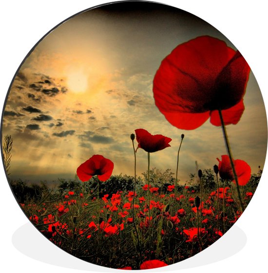 Cercle mural - Cercle mural - Coquelicots le soir - Aluminium - ⌀ 140 cm - Intérieur et Extérieur