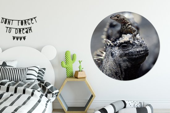 WallCircle - Tableau - Famille Iguane Et Xxl - Multicolore - 120 X 120 Cm