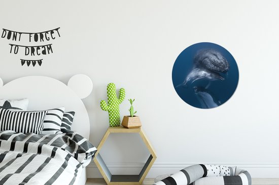 Wall Circle - Wall Circle - Baleines - Mer - Famille - Aluminium - ⌀ 30 cm - Intérieur et Extérieur