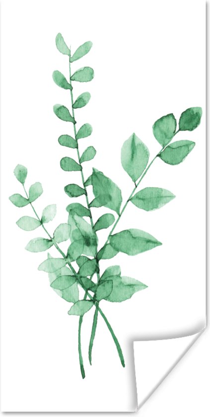 Poster Waterverf - Bladeren - Planten