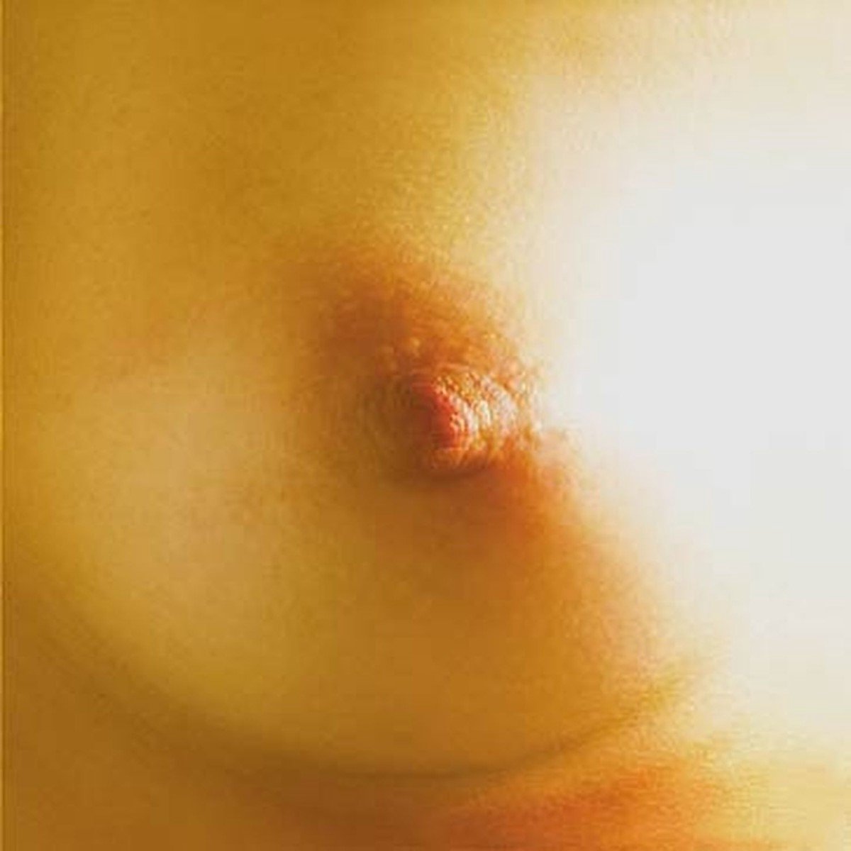 Saturnia - Muzak (LP | 7" Single)