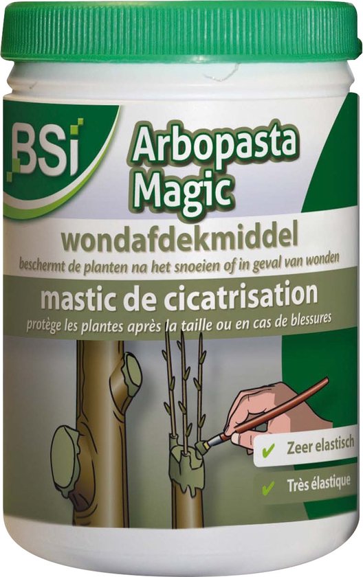 BSI Arbopasta Magic Boomwondpasta 250g - BSI