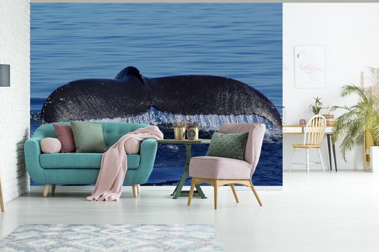 Papier peint photo peint photo vinyle - Queue de baleine bleue au-dessus de la surface de l'eau largeur 305 cm x hauteur 220 cm - Tirage photo sur papier peint (disponible en 7 tailles)