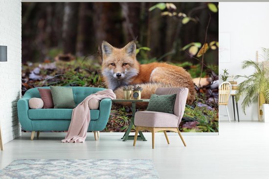 Papier peint - Papier peint photo - Renard au repos - Largeur 390 cm x Hauteur 260 cm