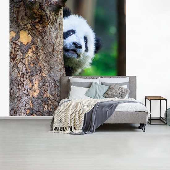 Papier peint - Papier peint photo Panda - Arbre - Forêt - Largeur 300 cm x Hauteur 300 cm
