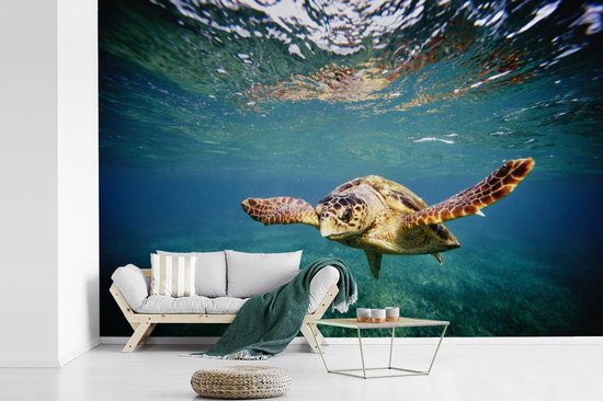 Behang - Fotobehang Schildpad - Water - Blauw - Breedte 525 cm x hoogte 350 cm