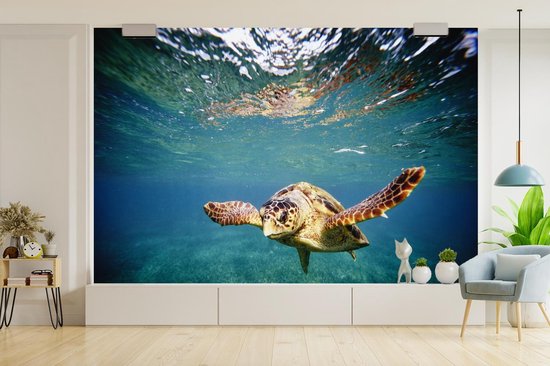 Behang - Fotobehang Schildpad - Water - Blauw - Breedte 525 cm x hoogte 350 cm