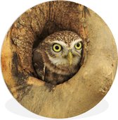 WallCircle - Wandcirkel ⌀ 150 - Uil - Boom - Vogel - Ronde schilderijen woonkamer - Wandbord rond - Muurdecoratie cirkel - Kamer decoratie binnen - Wanddecoratie muurcirkel - Woonaccessoires