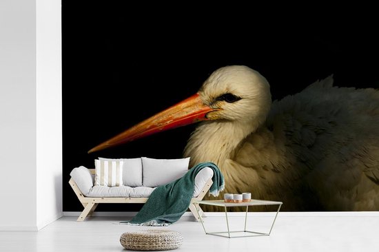 Papier peint Papier peint photo en vinyle - Portrait photo oiseau sur fond noir largeur 360 cm x hauteur 240 cm - Tirage photo sur papier peint (disponible en 7 tailles)