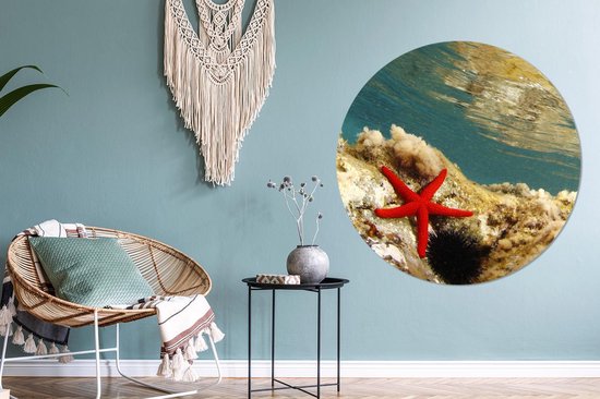 WallCircle - Wall Circle - Wall Circle Indoor - Étoile de Mer - Corail - Mer - 140x140 cm - Décoration murale - Peintures Ronds
