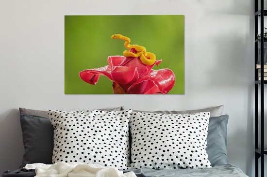 Petit serpent jaune fleur rouge 90x60 cm - impression photo sur toile peinture (Décoration murale salon / chambre à coucher) / Animaux sauvages Peintures Toile