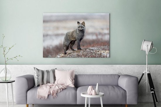 Renard gris dans un paysage enneigé 180x120 cm - Tirage photo sur toile (Décoration murale salon / chambre) / Animaux sauvages Peintures sur toile XXL / Groot format!