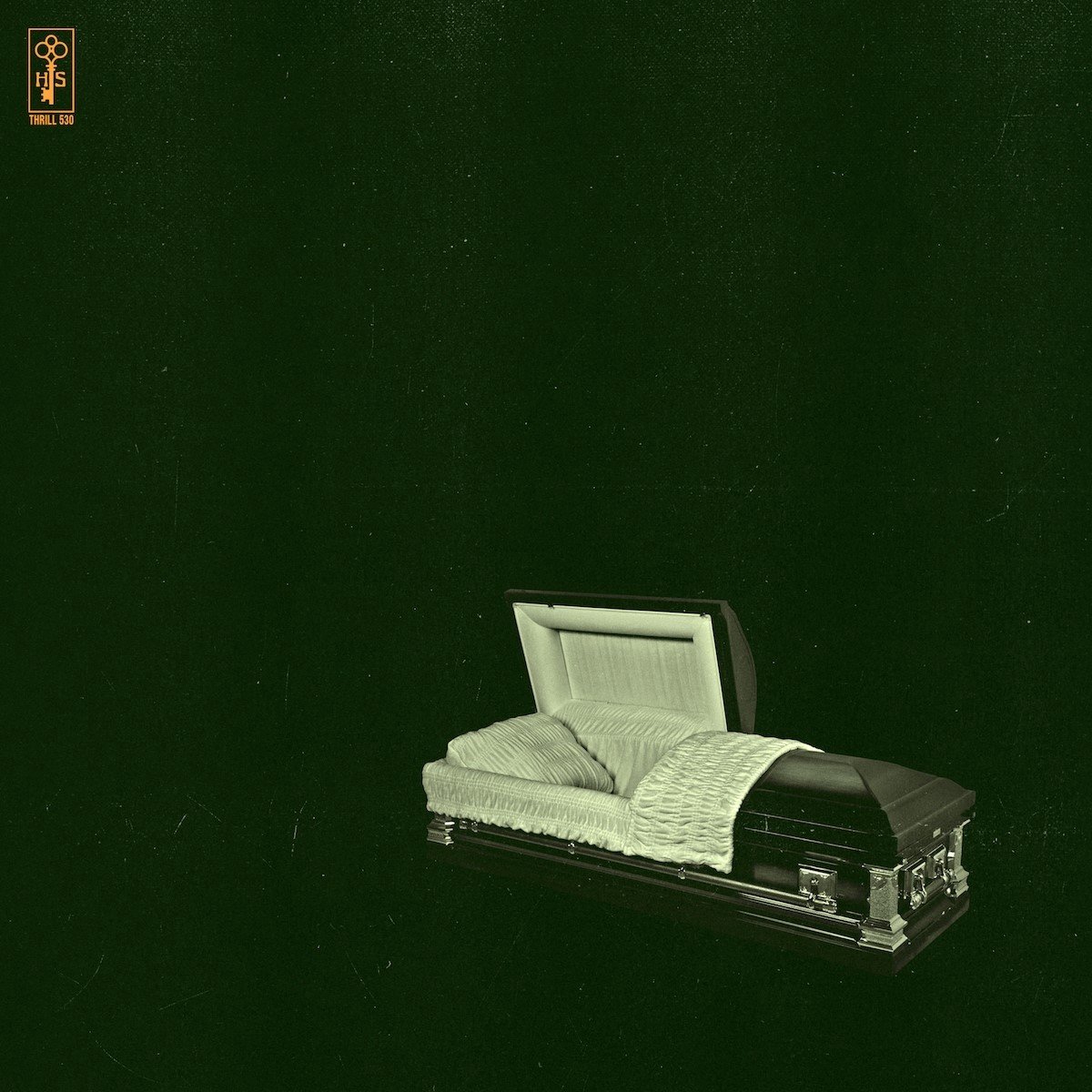 Holy Sons - Raw And Disfigured (2 LP)