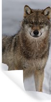 Loup - Neige - Animaux Aluminium