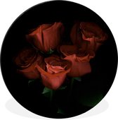 Roses rouges sur fond noir Cercle mural aluminium ⌀ 60 cm - impression photo sur cercle mural / cercle vivant / cercle de jardin (décoration murale)