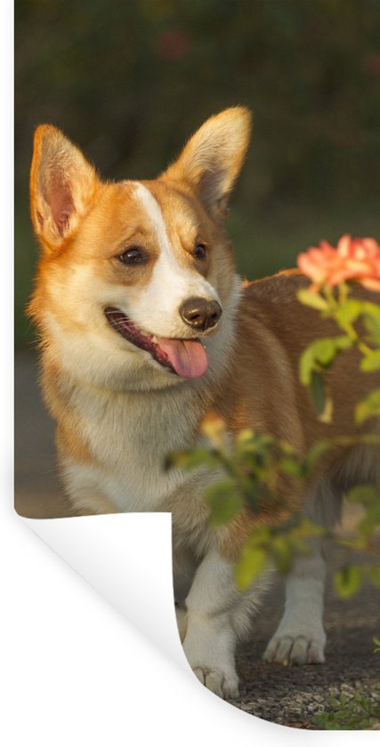 Stickers muraux - Film autocollant - Chien - Roses - Buisson - 20x40 cm - Film adhésif - Stickers muraux chambre enfant - Papier peint autocollant - Papier peint autocollant - Film autocollant