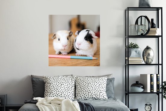 Muurstickers - Sticker Folie - Schattige baby-cavia's - 100x100 cm - Plakfolie - Muurstickers Kinderkamer - Zelfklevend Behang XXL - Zelfklevend behangpapier - Stickerfolie