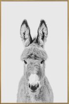 JUNIQE - Poster met kunststof lijst Donkey Classic -40x60 /Wit & Zwart