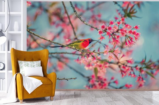 Behang - Fotobehang Vogel - Sakura - Kleuren - Breedte 360 cm x hoogte 240 cm - Nr1Wallpaper