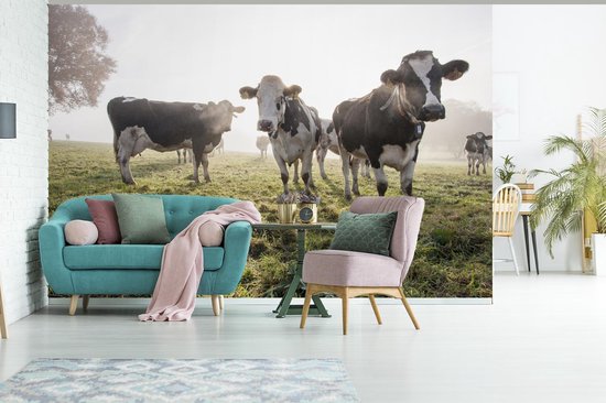 Papier peint vinyle - Un matin brumeux avec les vaches frisonnes dans le pâturage largeur 330 cm x hauteur 220 cm - Tirage photo sur papier peint (disponible en 7 tailles)