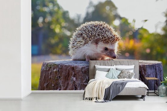 Papier peint photo peint vinyle - Manger hérisson largeur 330 cm x hauteur 220 cm - Tirage photo sur papier peint (disponible en 7 tailles)