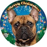 Plenty gifts xmas led light franse bulldog 20,5x20,5x3,5 cm