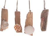 Decoratiehangers - Driftwood Hanger Large With Shell 6x2x34cm 1pc 4 Keuzemogelijkheden Na