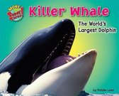 More Supersized!- Killer Whale
